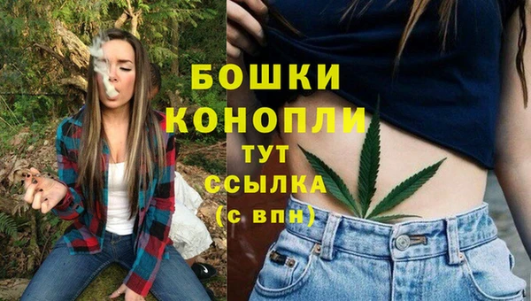 шишки Беломорск