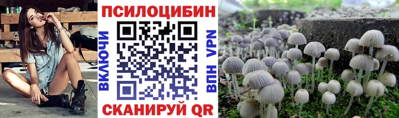 Псилоцибиновые грибы прущие грибы  блэк спрут как зайти  Комсомольск 